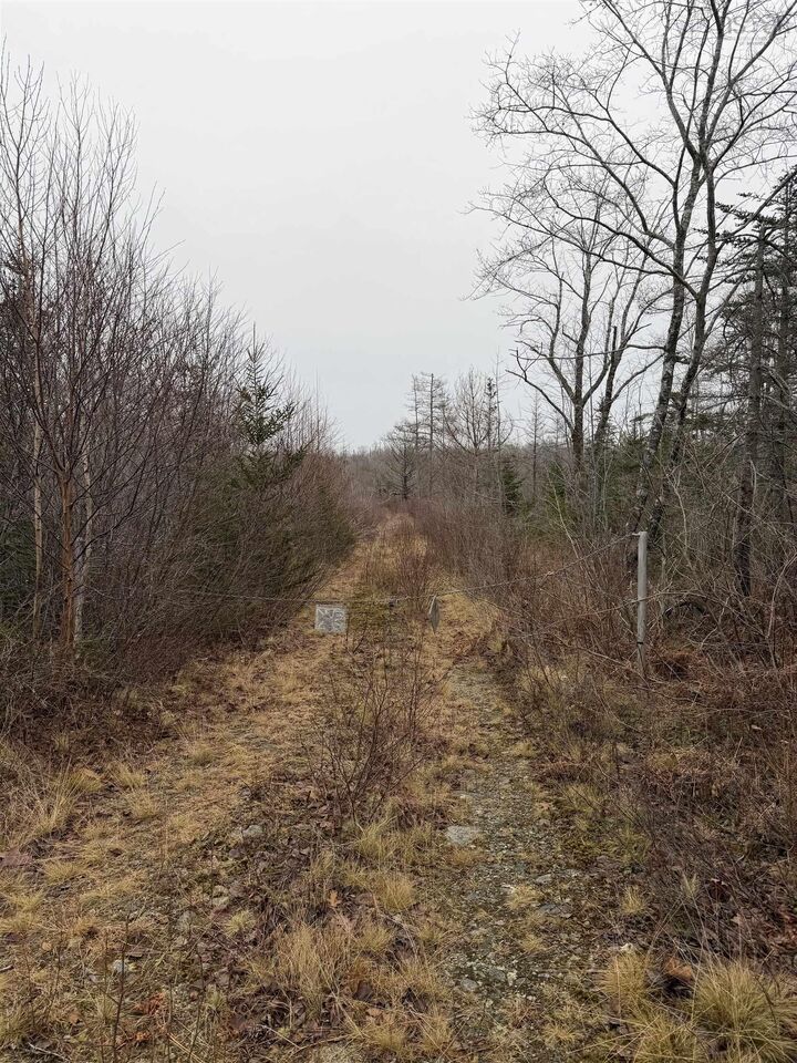 Property Photo:  Lot 4 Port Clyde Road  NS B0T 1W0 