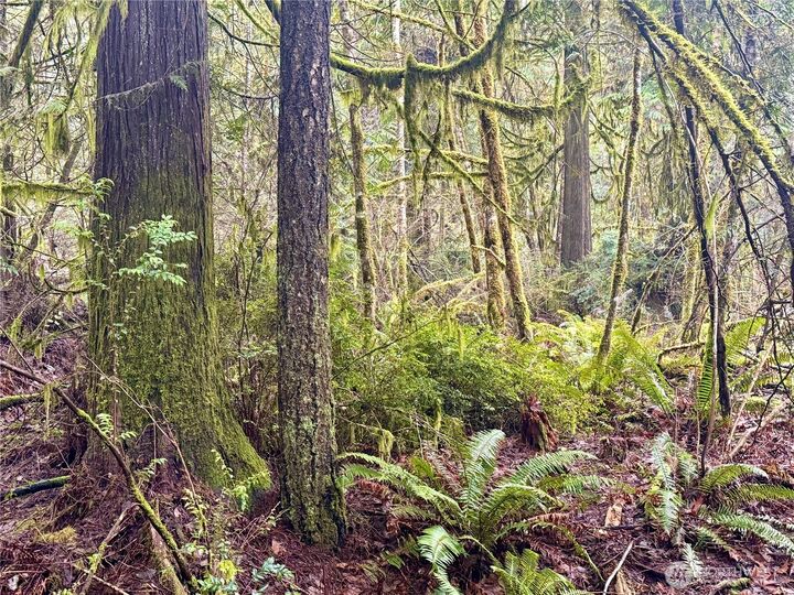 Property Photo:  705 E Colonel Wright Road  WA 98584 