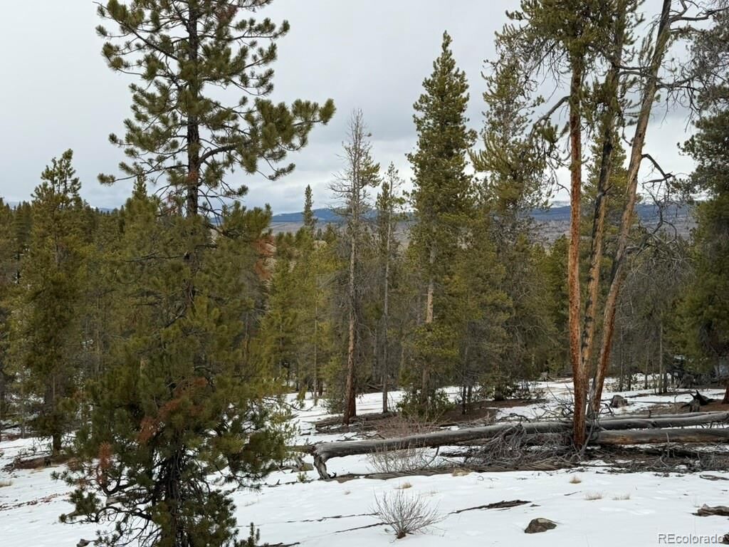 Property Photo:  124 Lodgepole Drive  CO 81251 