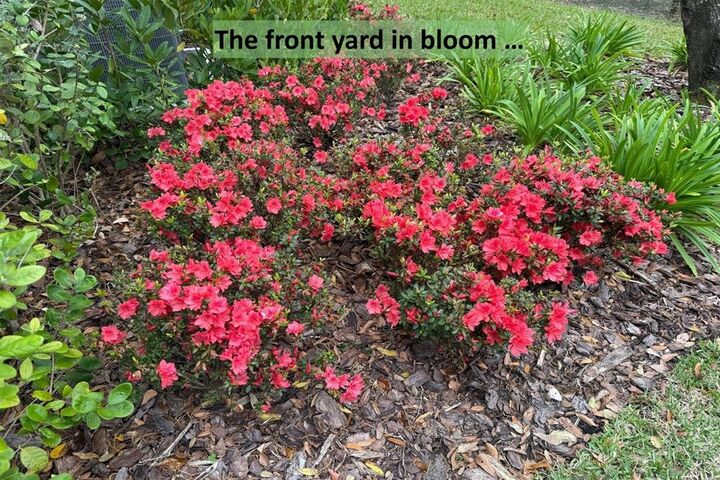 Property Photo: 96018 Woodmere Way FL 32034