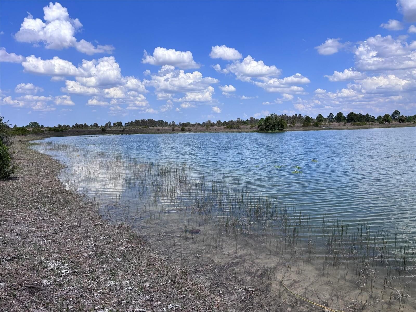 Property Photo:  48033 Bermont Road  FL 33982 