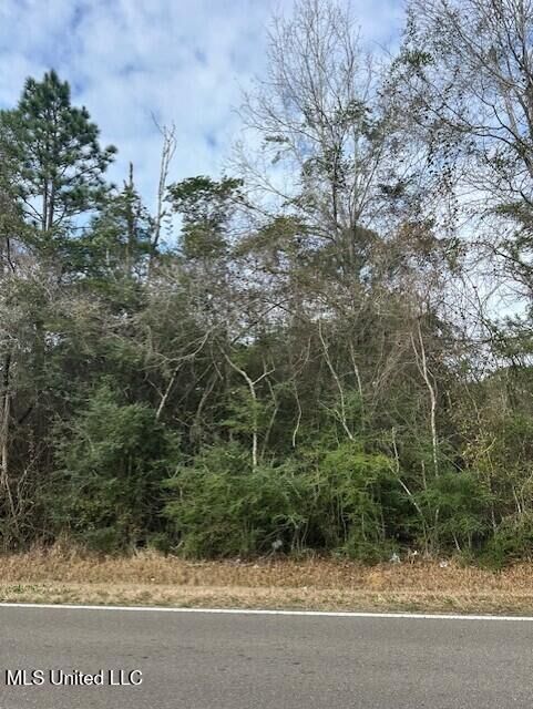 Property Photo:  Ms 53 Lot 8  MS 39503 