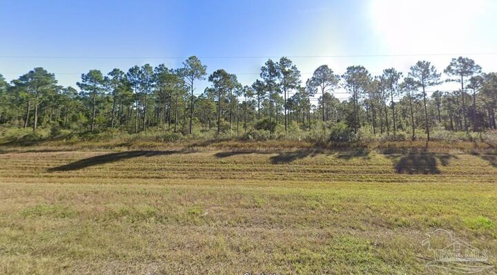Property Photo:  10.95 Acres Avalon Blvd  FL 32583 
