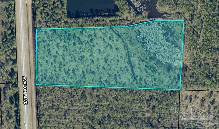 Property Photo: 10.95 Acres Avalon Blvd FL 32583