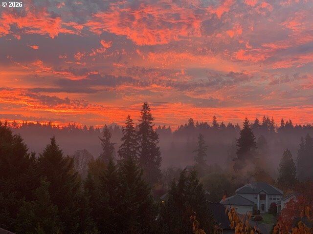 Property Photo:  3103 NE 143rd St  WA 98686 