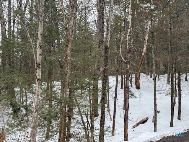 Property Photo: 52 Shingle Mill Road CT 06092