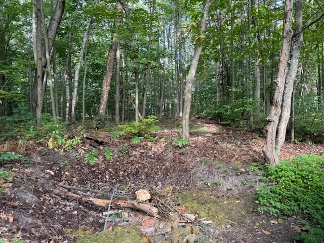 Property Photo:  Lot 3 S Perch Lake Drive  MI 49735 