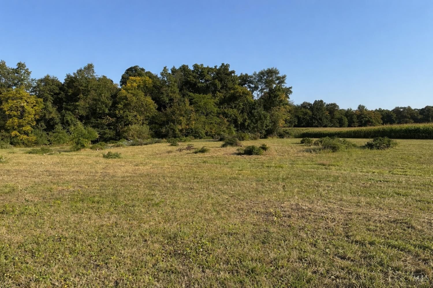 Property Photo:  8469 McCulley Lane  OH 45107 