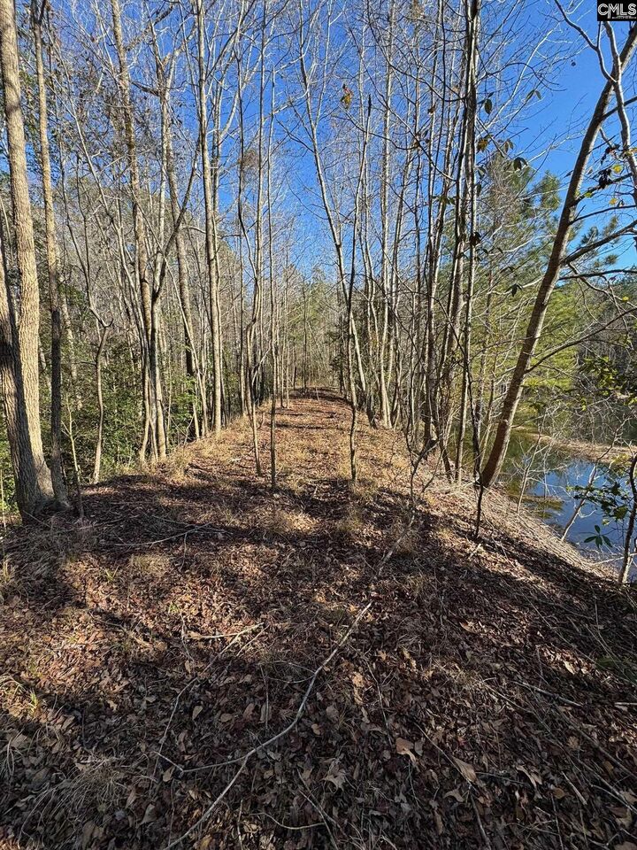 Property Photo:  0 Sardis Church  SC 29160 