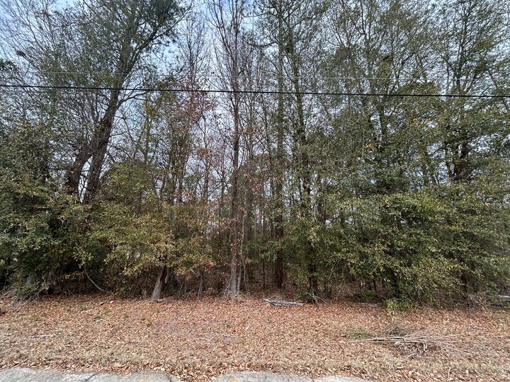 Property Photo: W Williams St GA 31063