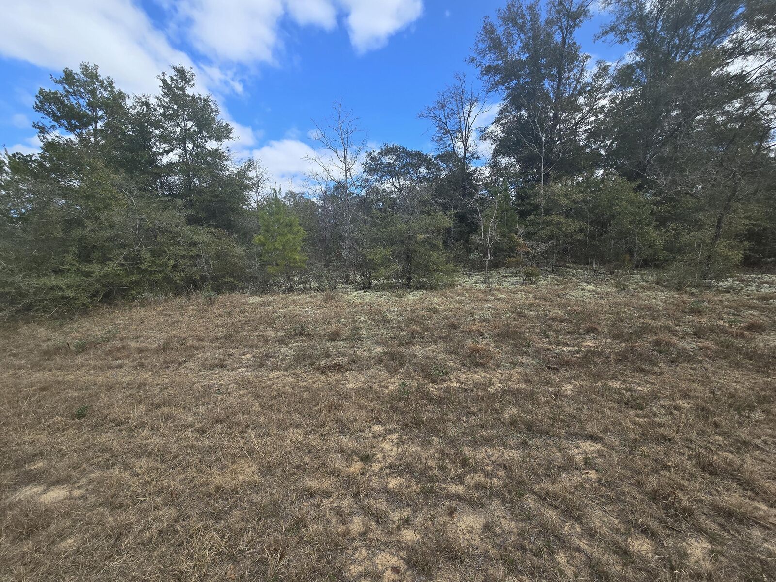 Property Photo: Tbd Hale Avenue FL 32428