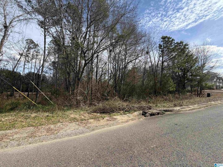 Property Photo:  1112 Baylor Court 67  AL 35125 