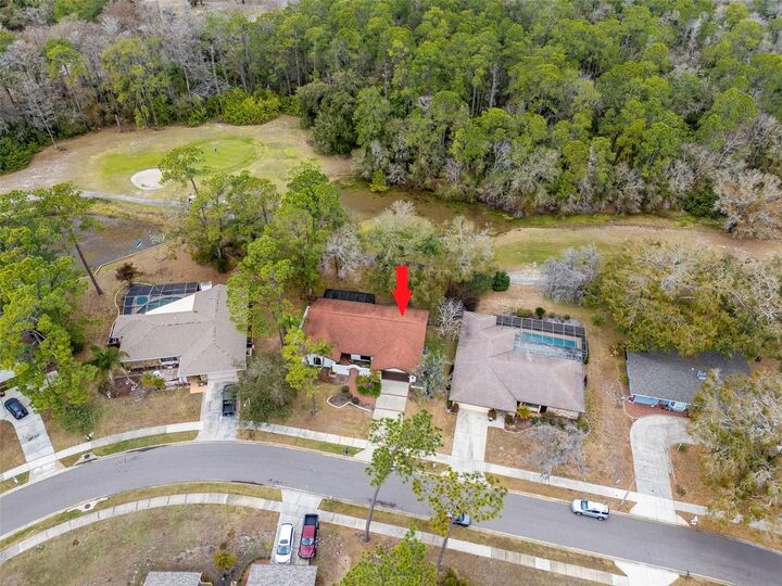 Property Photo:  2240 Toniwood Lane  FL 34685 