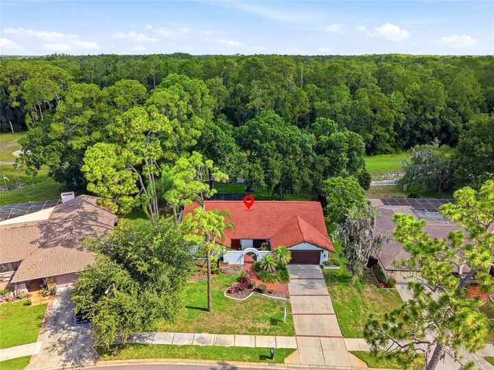 Property Photo: 2240 Toniwood Lane FL 34685