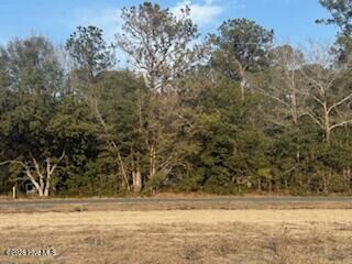 Property Photo:  Tbd Tbd Rough Horn Road  NC 28438 