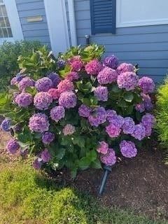 Property Photo:  21 Brae Burn Ln  MA 02664 