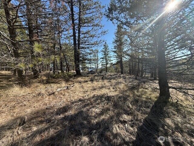 Property Photo: 171 Garrett WA 98855