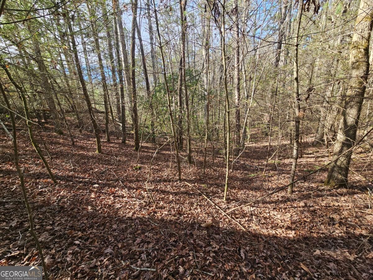 Property Photo:  Lot 77 Roaring Forks Lane 77  GA 30540 