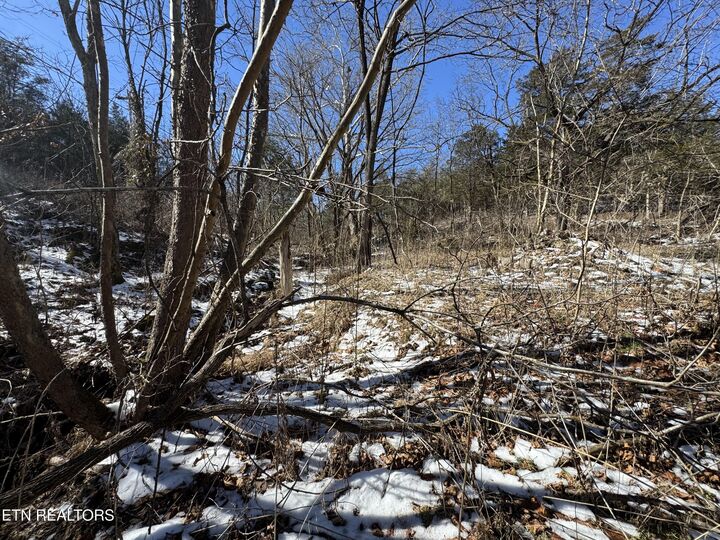 Property Photo:  Tn-131  TN 37881 