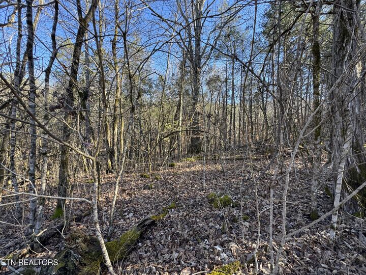 Property Photo:  Tn-131  TN 37881 