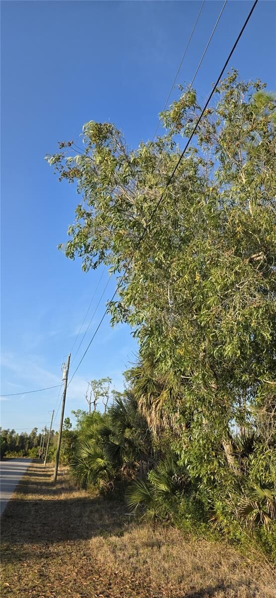 Property Photo:  13262 Gorman Avenue  FL 33981 