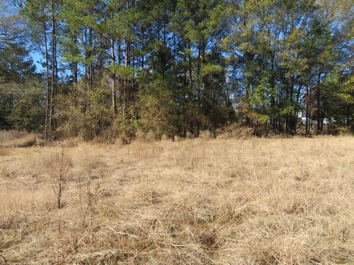 Property Photo: 3513 (1) Old Union Road TX 75904