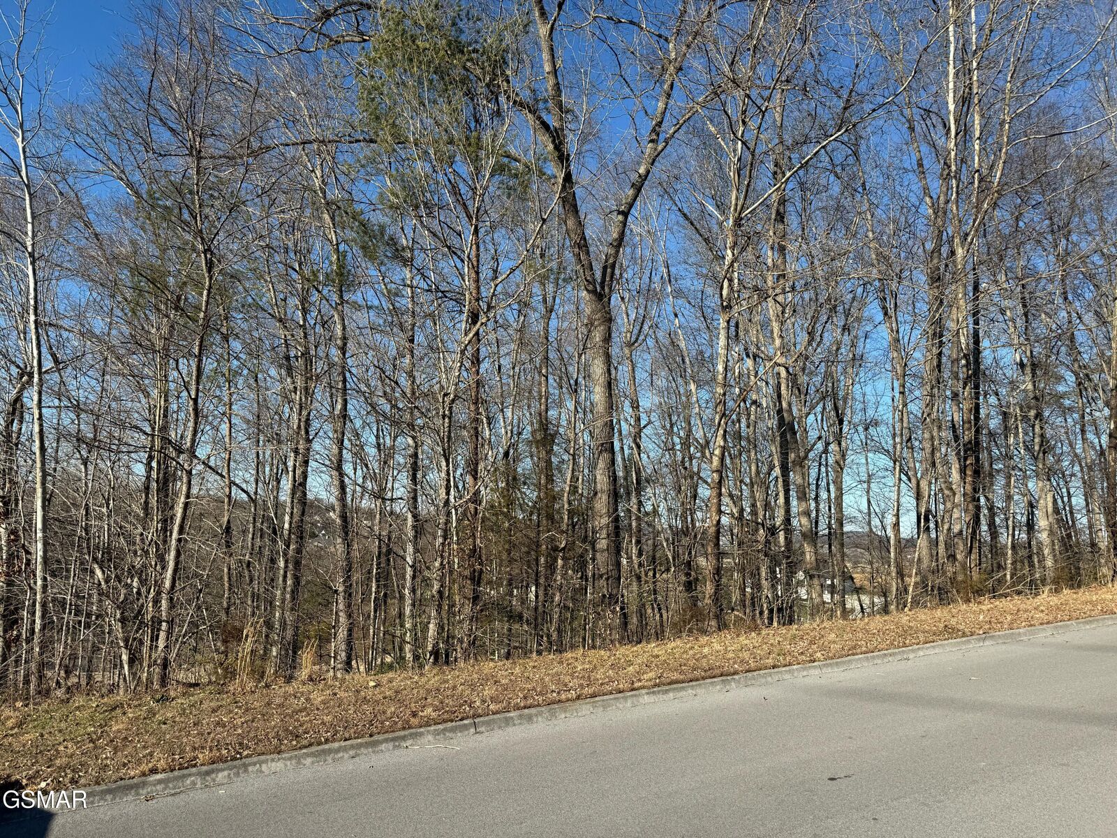 Property Photo:  0 Warbler Point  TN 37876 