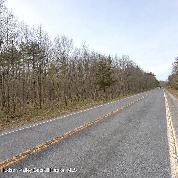 Property Photo:  Tbd Silver Spur W  NY 12413 