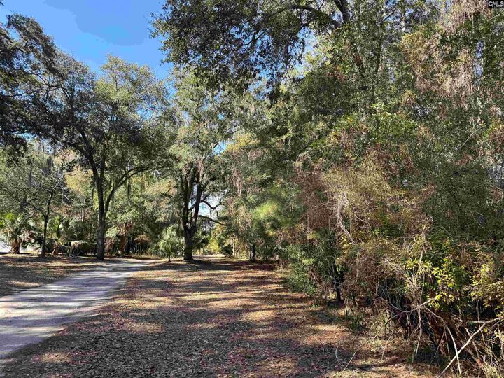 Property Photo: 8384 Palmetto SC 29438