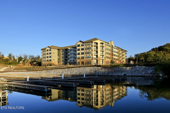 Property Photo:  445 W Blount Ave 411  TN 37920 