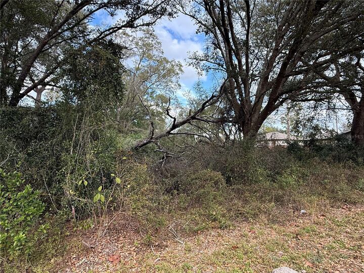 Property Photo:  0 Hilda Rd  FL 33523 