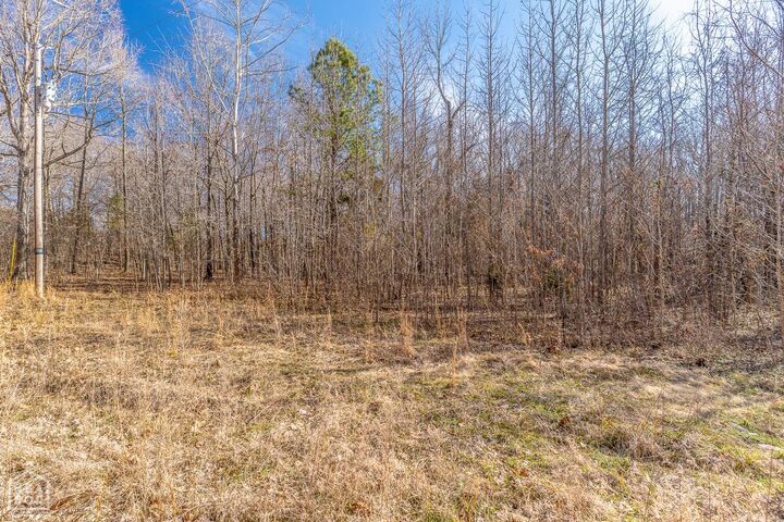 Property Photo: 3 Acres County Road 389 AR 72416