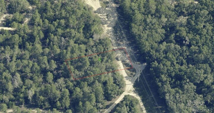 Property Photo:  107 S Cristy Avenue  FL 34452 