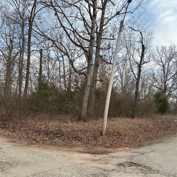 Property Photo: 0 Pawnee MO 63648