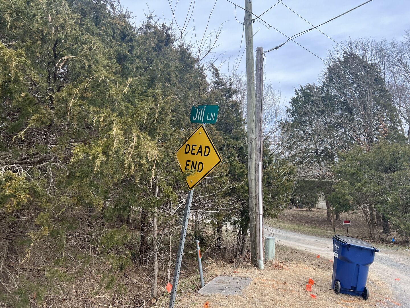 Property Photo:  Lot 14 Jill Lane  IL 62939 