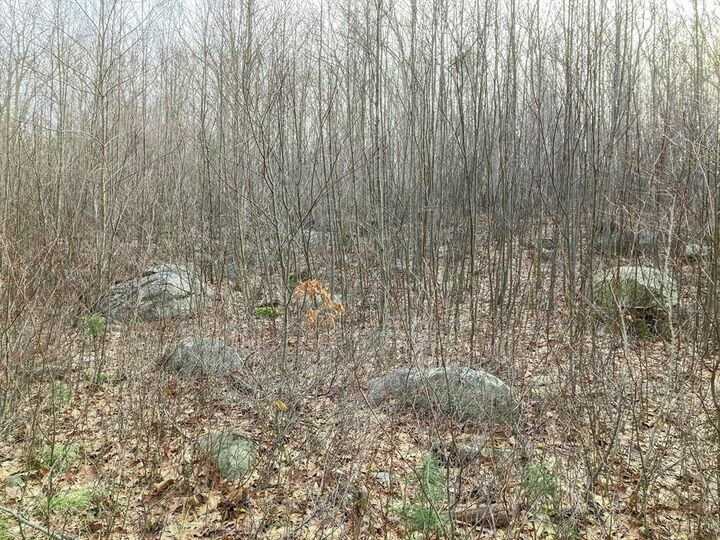 Property Photo:  183 Blackstone St  MA 01756 