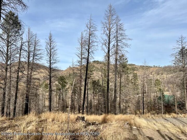 Property Photo:  116 Bluebelle Lane  NM 88345 