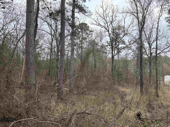 Property Photo:  Tbd San Juan Way  AR 71909 