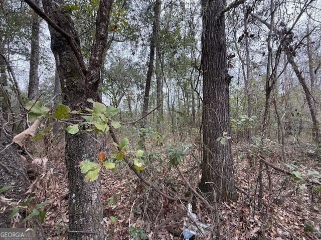 Property Photo: V/L 40 Satilla River Landing GA 31569