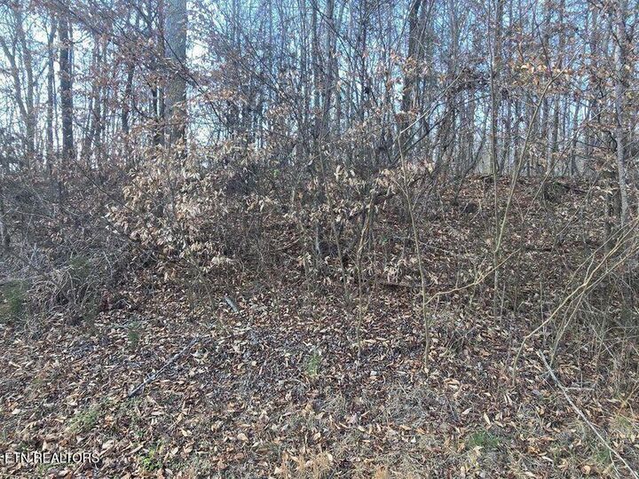 Property Photo: Lot 15 River Rd TN 37322