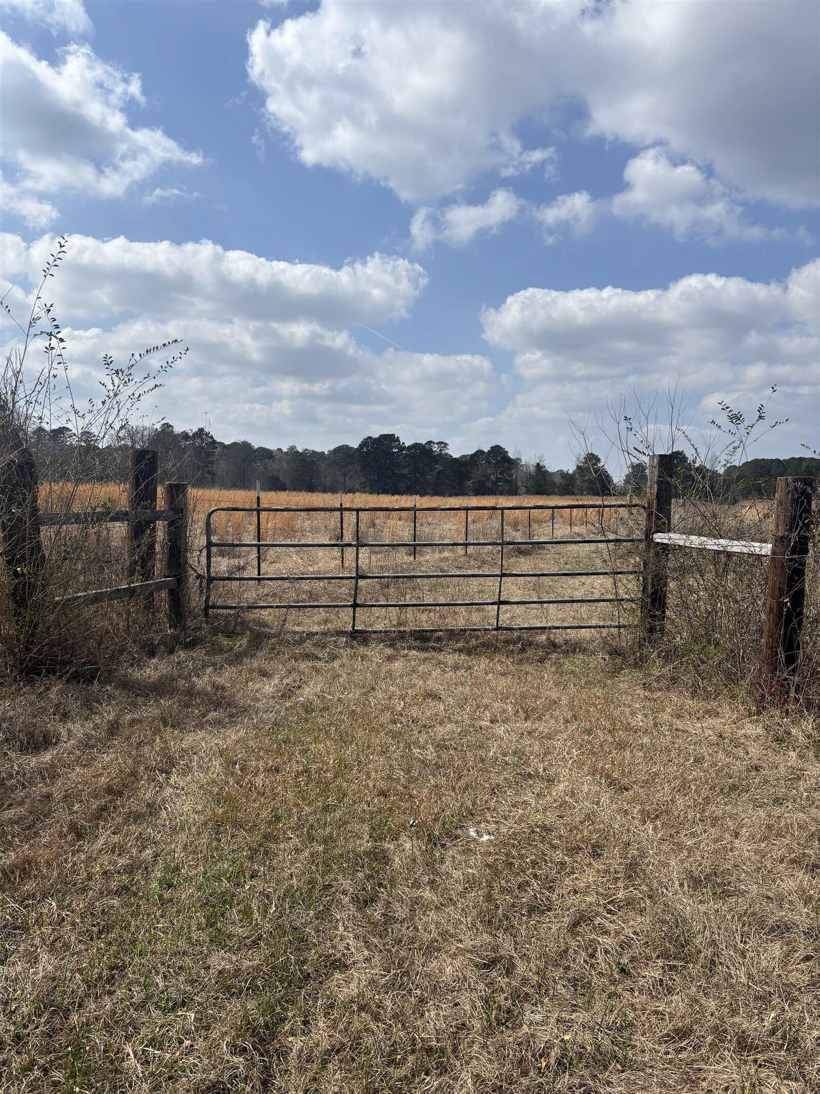 Property Photo: 753 Old Fm 134 And Substation Rd TX 75661