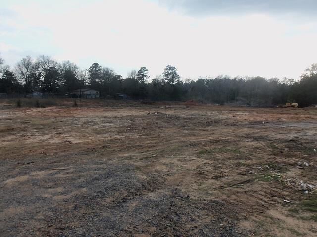 Property Photo: Tbd Goforth Road Green Blackmon Road TX 75662