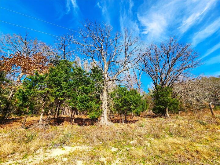 Property Photo: Lot 463 US-175 TX 75770