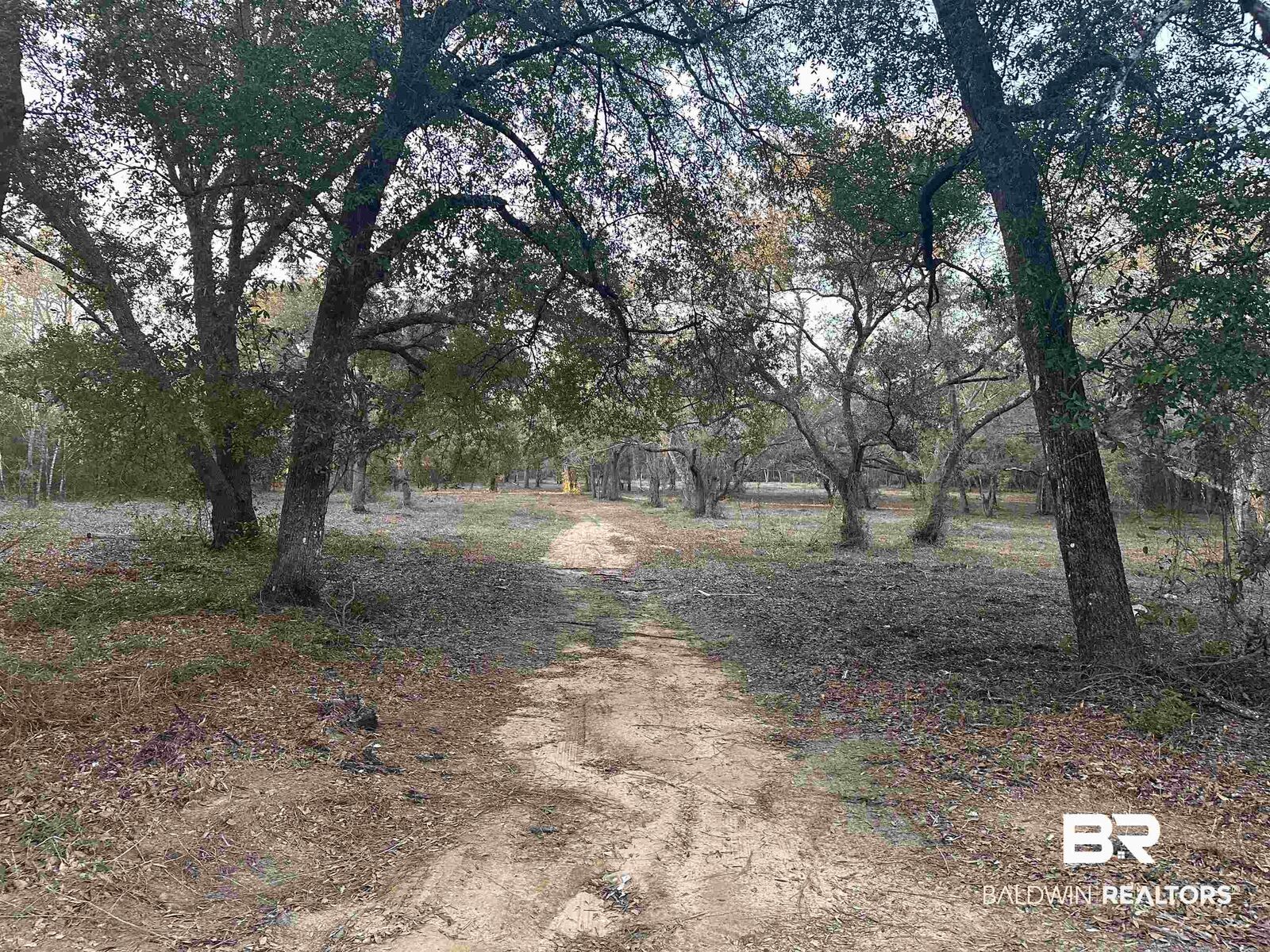 Property Photo: 00 County Road 99 AL 36549