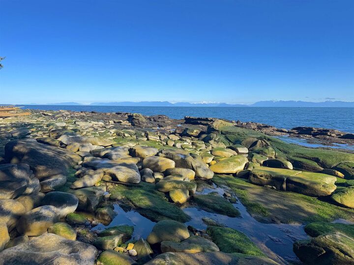 Property Photo: Lot 2 Bodega Beach Drive BC V0N 1P0