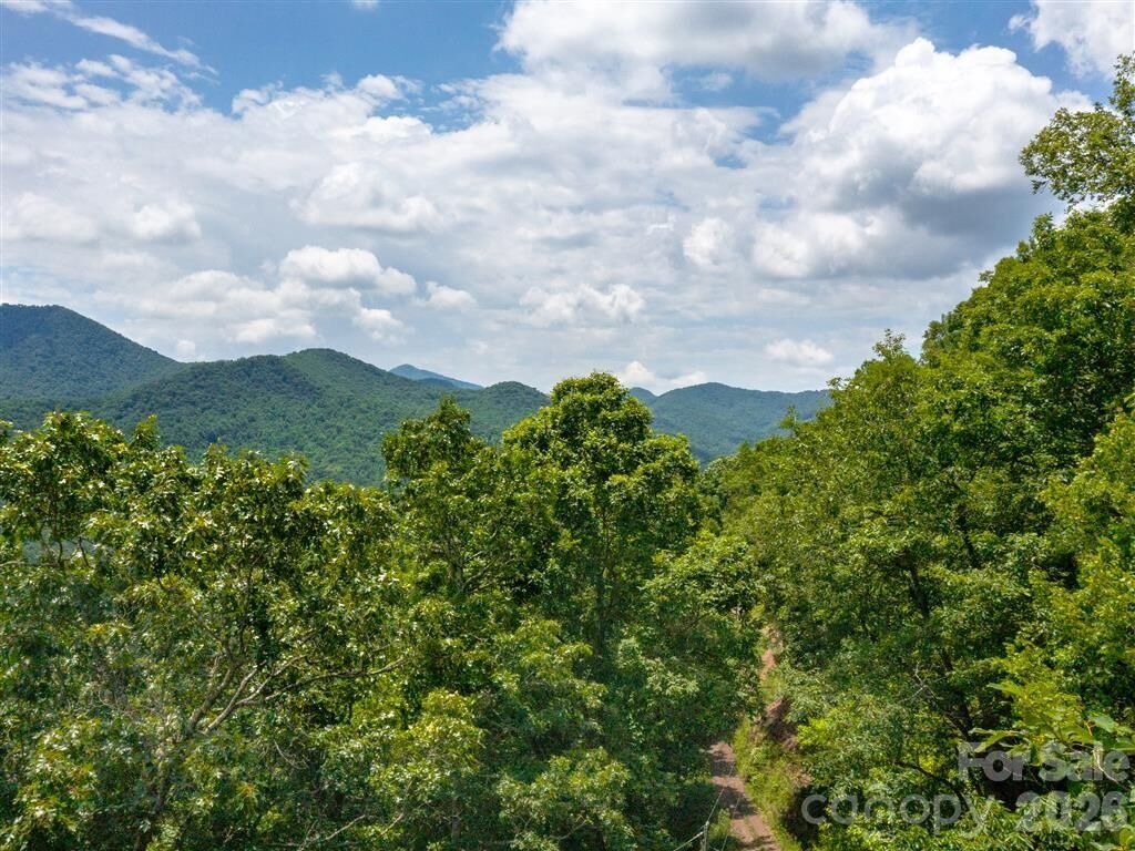 Property Photo:  21 Long Winding Road 4,5  NC 28779 
