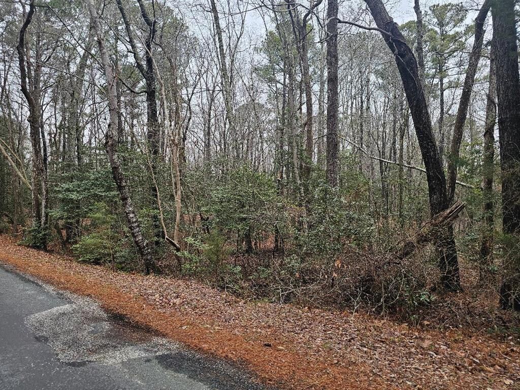 Property Photo: Lot 25 Jacobus Creek Rd VA 23405