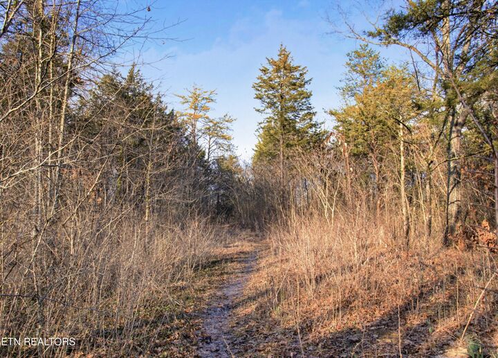 Property Photo: 748 & 750 Hialeah Drive TN 37920