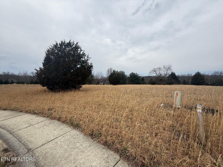 Property Photo:  Maple Point Lane - Lot 10  TN 38555 