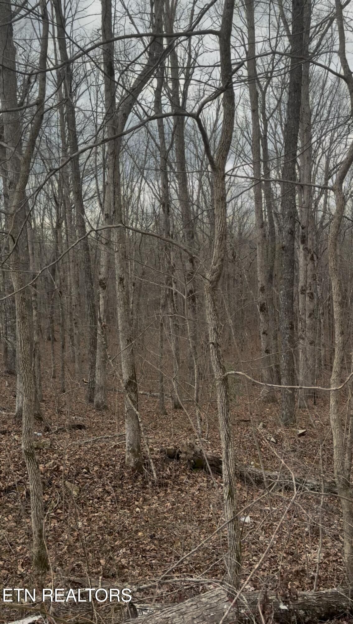 Property Photo:  Barbee Cemetery Rd  TN 37367 